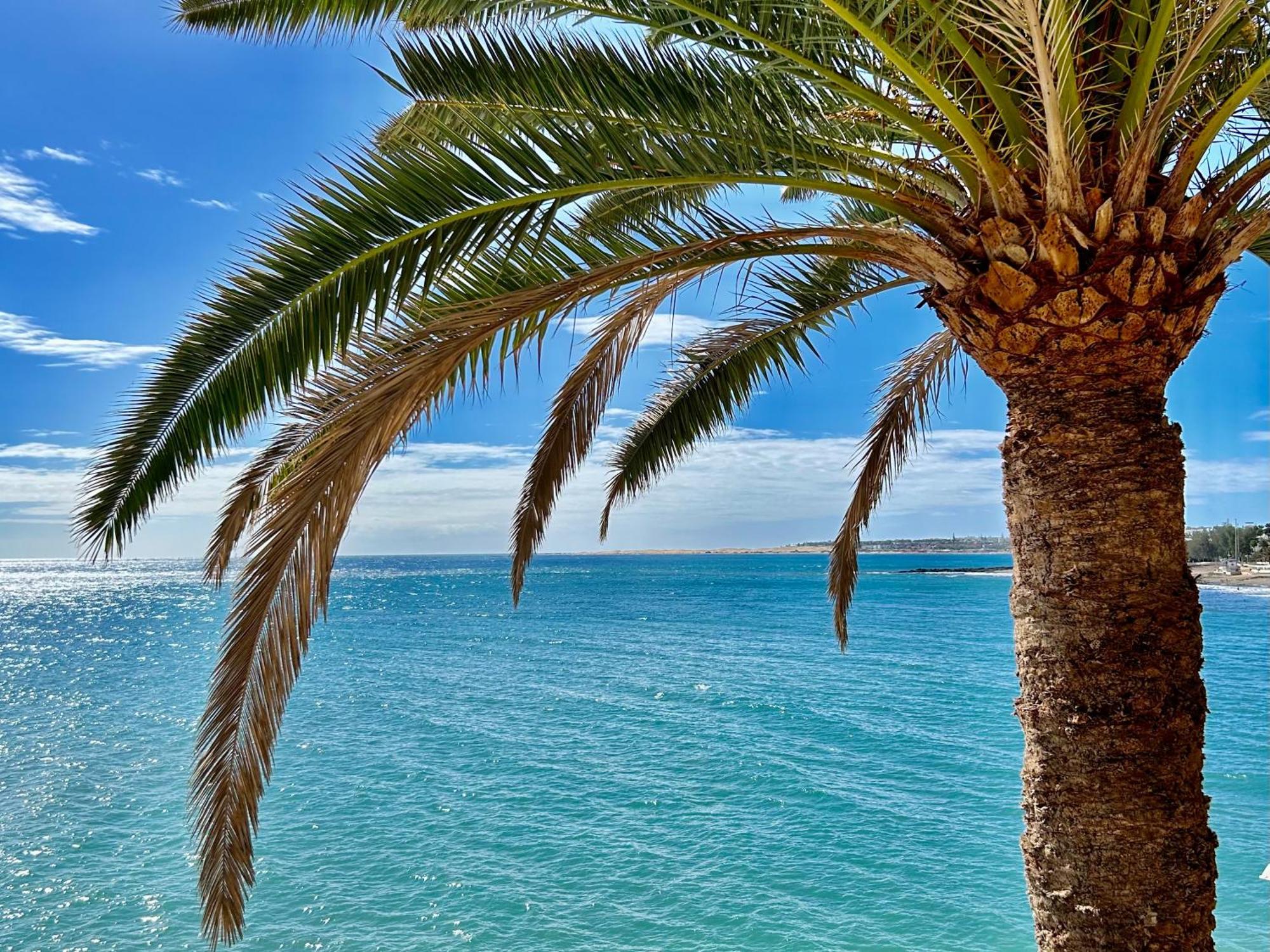 Sobre El Mar Con Vistas A Las Dunas De Maspalomas San Agustín Exteriör bild